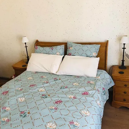 Appartement Wisteriamaubourguet *